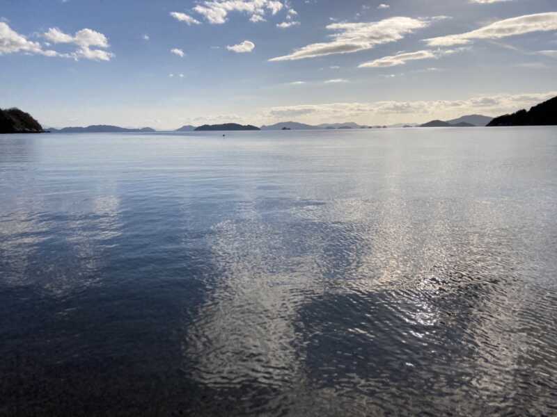 桂浜海水浴場