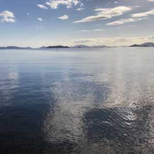 桂浜海水浴場