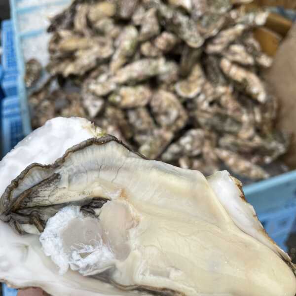 那珂湊おさかな市場