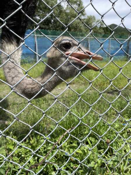 樽が橋遊園