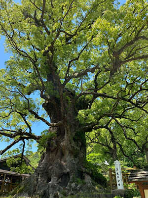 蒲生八幡神社