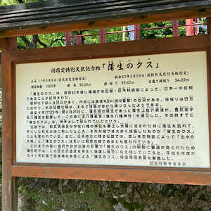 蒲生八幡神社