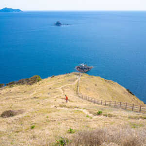 高茂岬