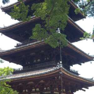 仁和寺