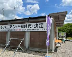 チバニアン