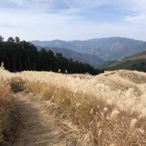 岩湧山