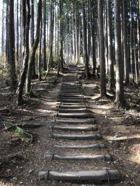 岩湧山