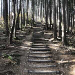 岩湧山