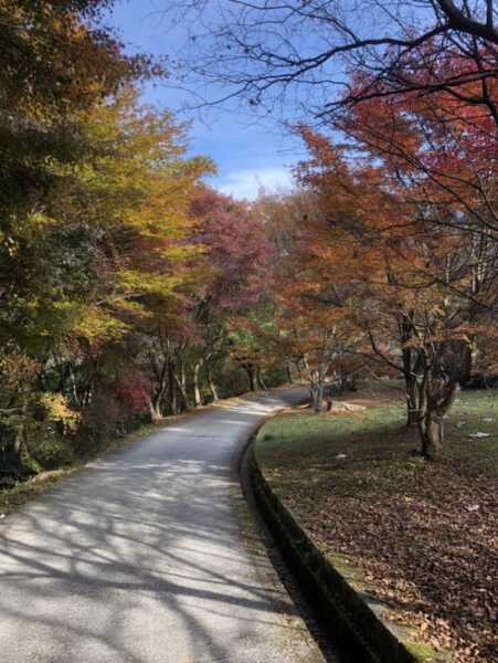 岩湧山