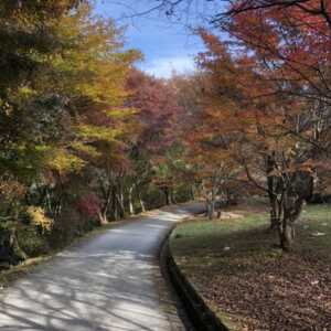 岩湧山