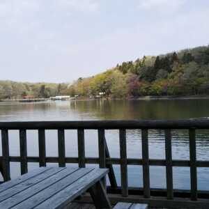 栃木県井頭公園