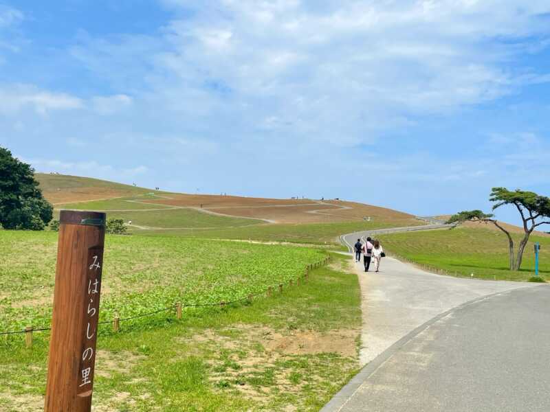 ひたち海浜公園