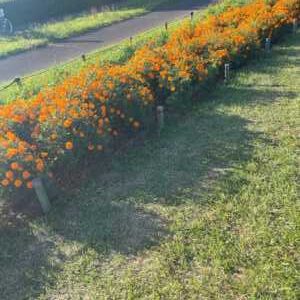 ひたち海浜公園