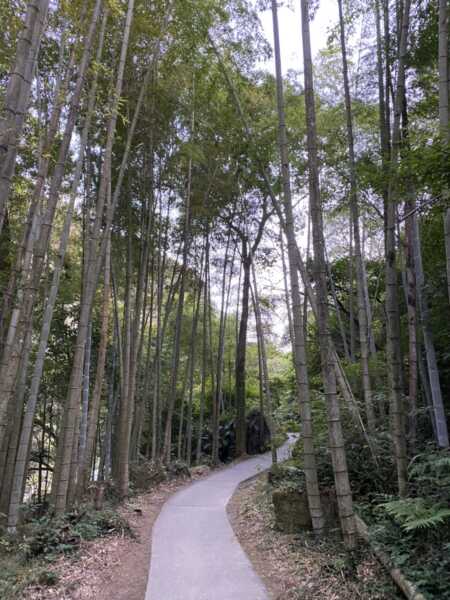 雄川の滝