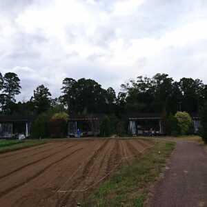 農園リゾート ザファーム