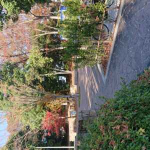 山田池公園