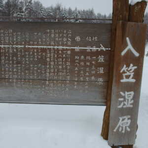 入笠湿原