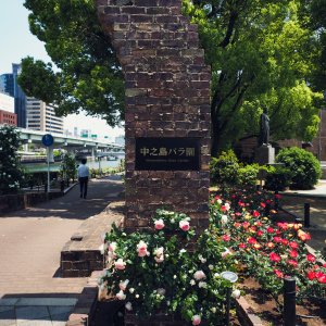 中之島バラ園