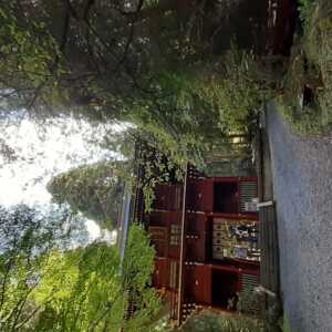 御石神社