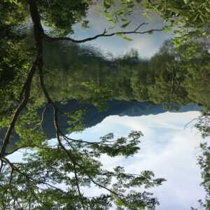 荒沢ダム貯水池