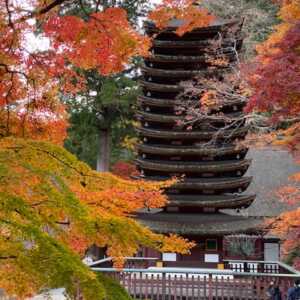 談山神社