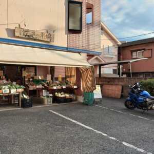 元気の市場
