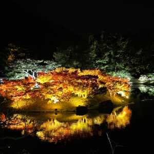 栗林公園