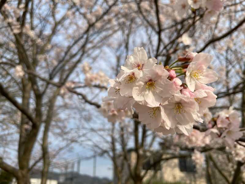堀江新池親水公園