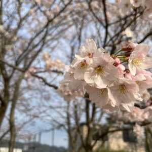 堀江新池親水公園