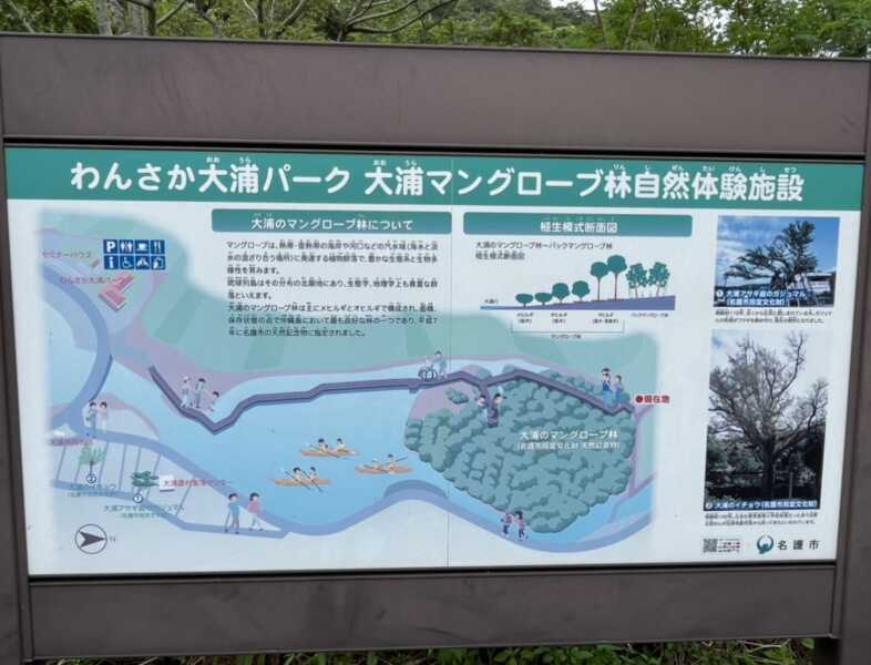 わんさか大浦パーク 大浦マングローブ