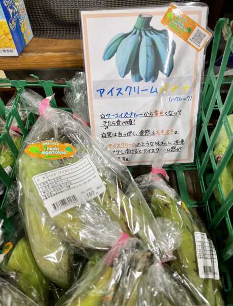 おんなの駅なかゆくい市場
