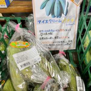 おんなの駅なかゆくい市場