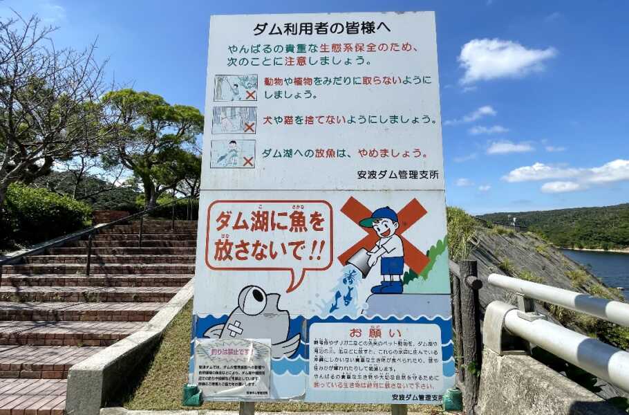 安波ダム