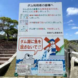 安波ダム