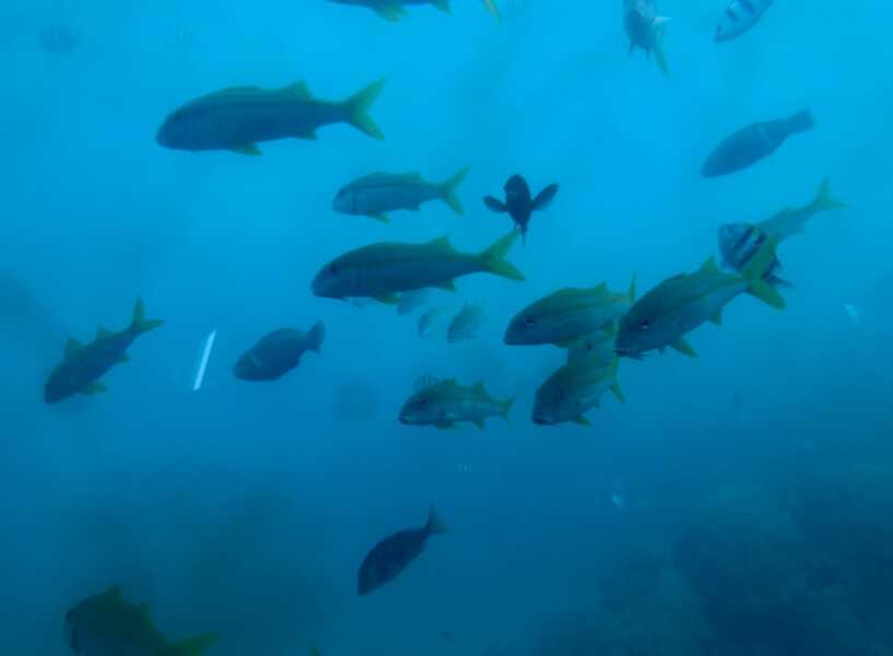 ブセナ海中公園