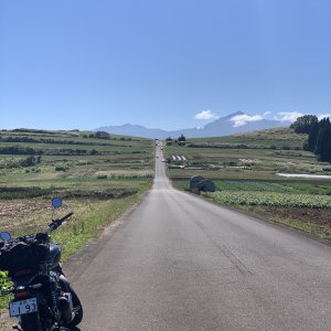 道光高原