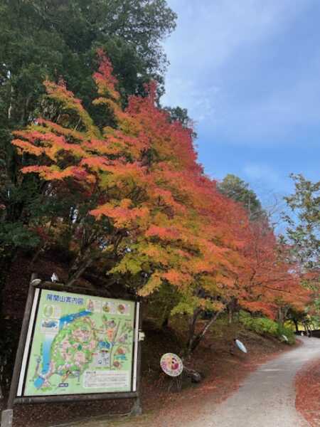 尾関山公園