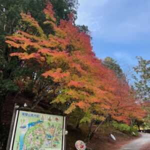 尾関山公園