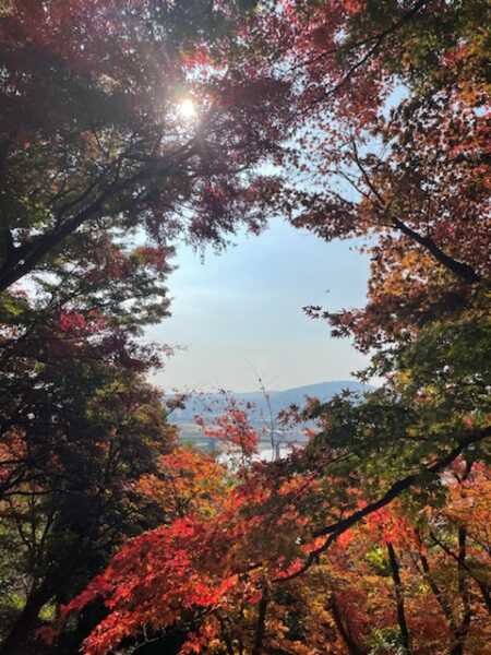 尾関山公園