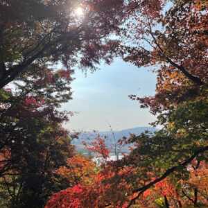 尾関山公園