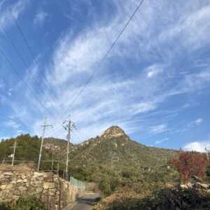 宮島