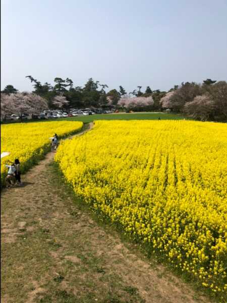 長崎鼻