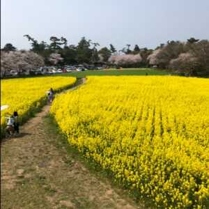 長崎鼻
