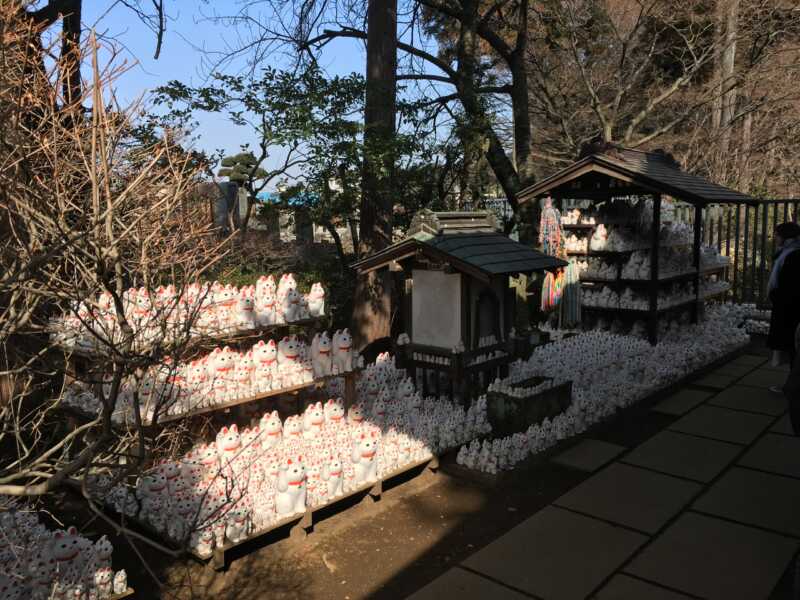 豪徳寺