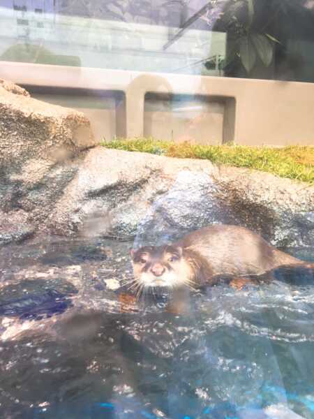 サンシャイン水族館