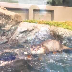 サンシャイン水族館