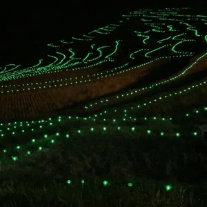 大山千枚田