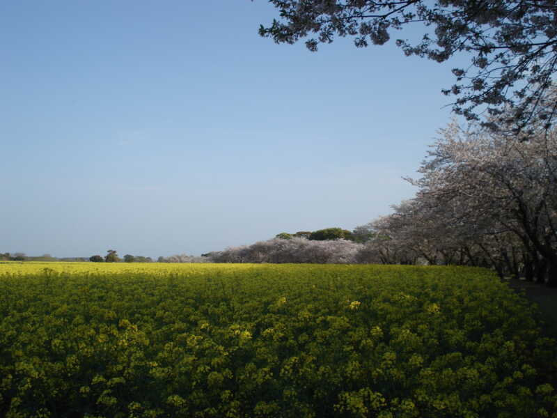 特別史跡公園 西都原古墳群