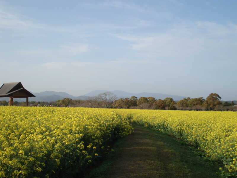 特別史跡公園 西都原古墳群