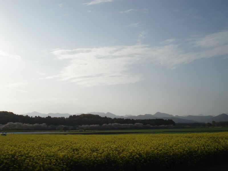 特別史跡公園 西都原古墳群